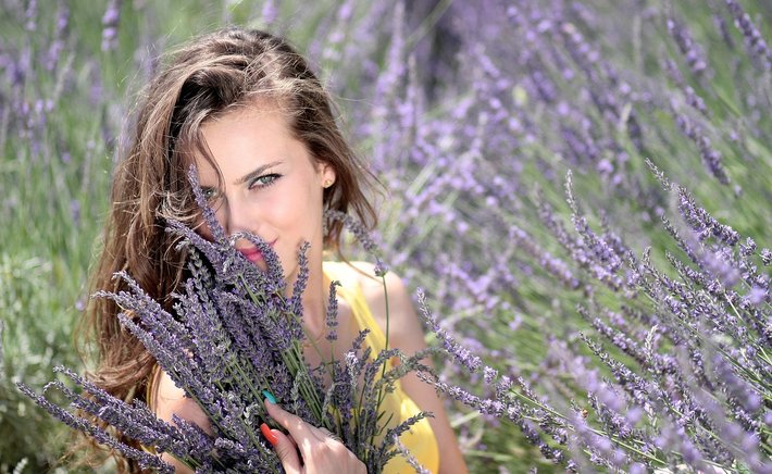 Lavender Hedge, Border, or Container? Designing with Lavender in Small and Large Spaces